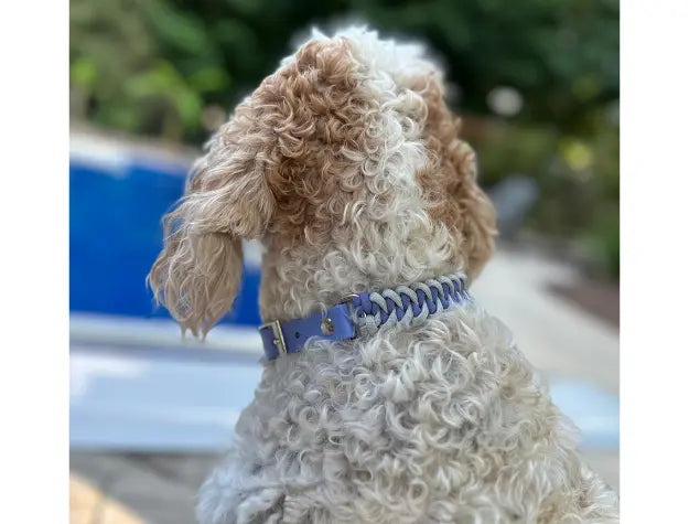Fishtail Hand Braided Dog Collar in Lavender & Smoke Pawsh Pup Co.