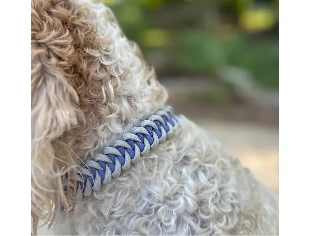 Fishtail Hand Braided Dog Collar in Lavender & Smoke Pawsh Pup Co.