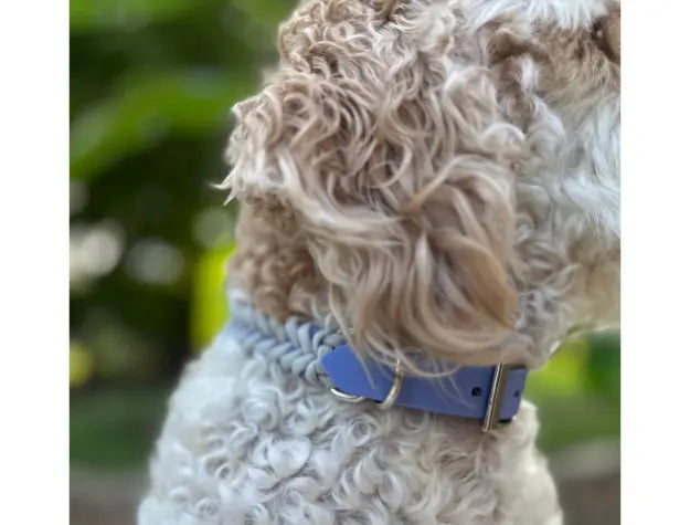 Fishtail Hand Braided Dog Collar in Lavender & Smoke Pawsh Pup Co.