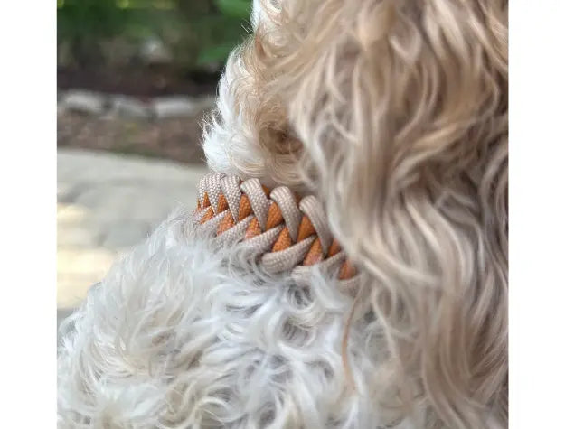 Fishtail Hand Braided Dog Collar in Mustard & Light Tan Pawsh Pup Co.