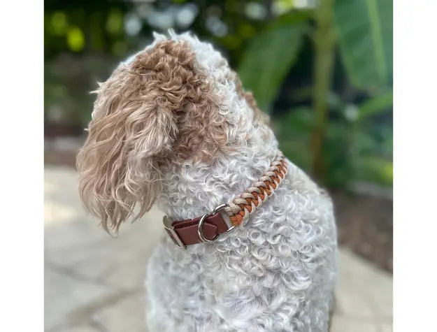 Fishtail Hand Braided Dog Collar in Mustard & Light Tan Pawsh Pup Co.