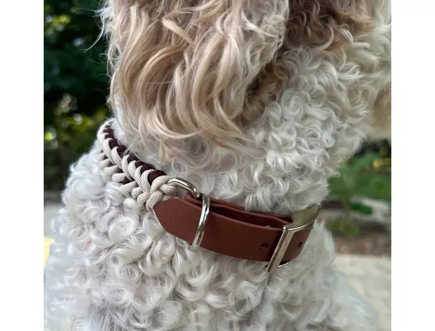 Fishtail Hand Braided Dog Collar in Burgundy & Cream Pawsh Pup Co.