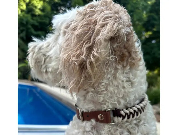 Fishtail Hand Braided Dog Collar in Burgundy & Cream Pawsh Pup Co.
