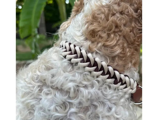 Fishtail Hand Braided Dog Collar in Burgundy & Cream Pawsh Pup Co.