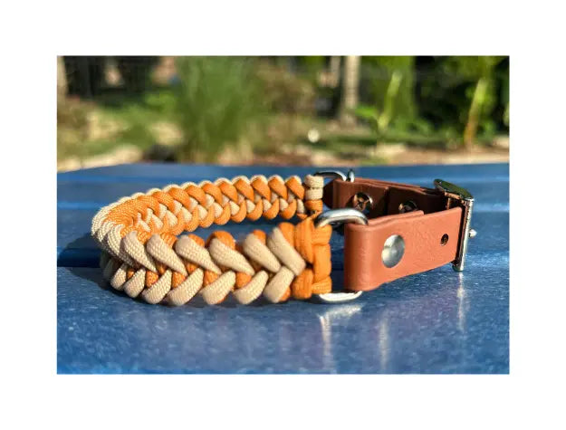 Fishtail Hand Braided Dog Collar in Mustard & Light Tan Pawsh Pup Co.