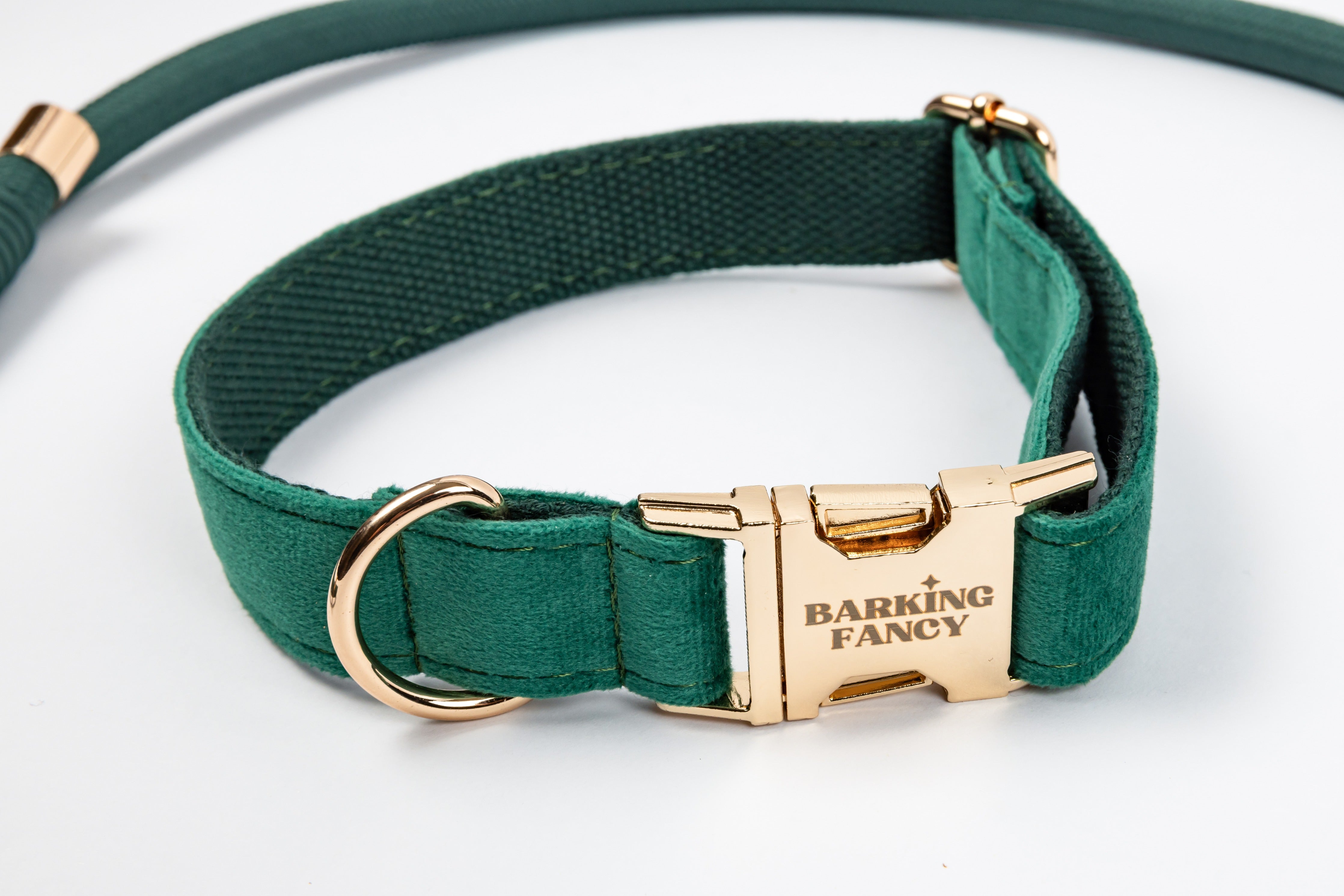 Signature Velvet Collar - Fir