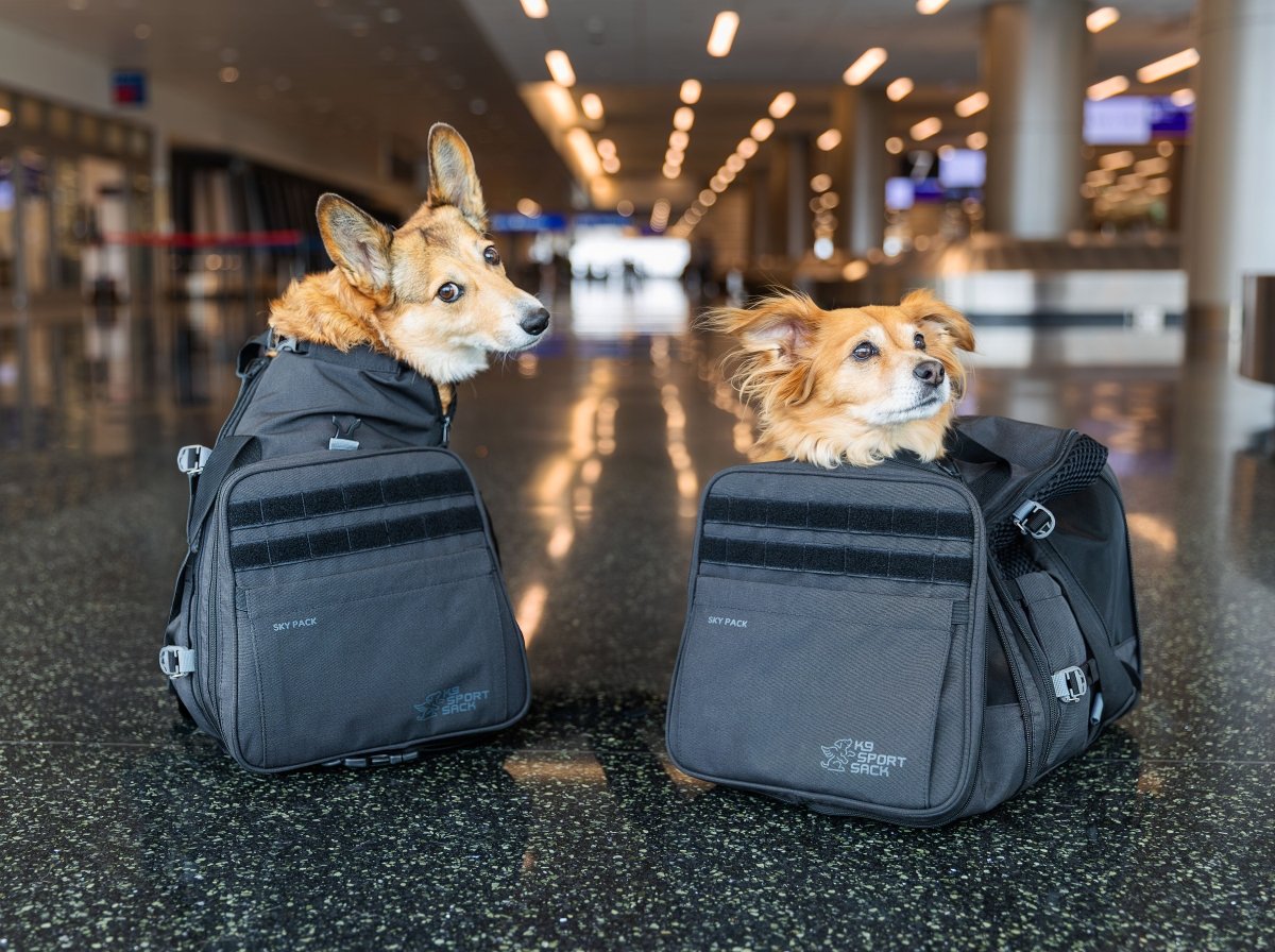Sky Pack | Convertible Dog Backpack & Pet Carrier
