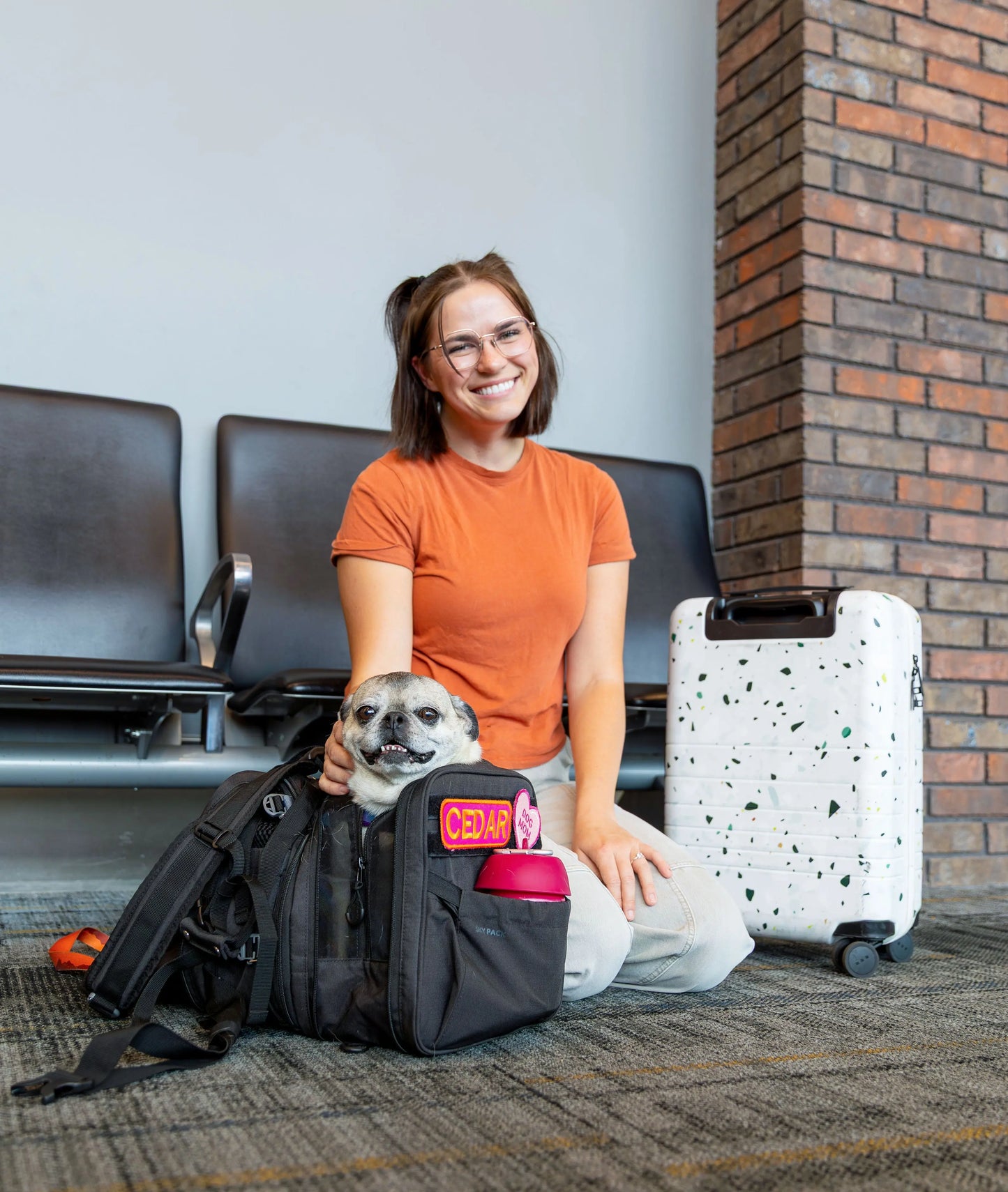 Sky Pack | Convertible Dog Backpack & Pet Carrier K9 Sport Sack