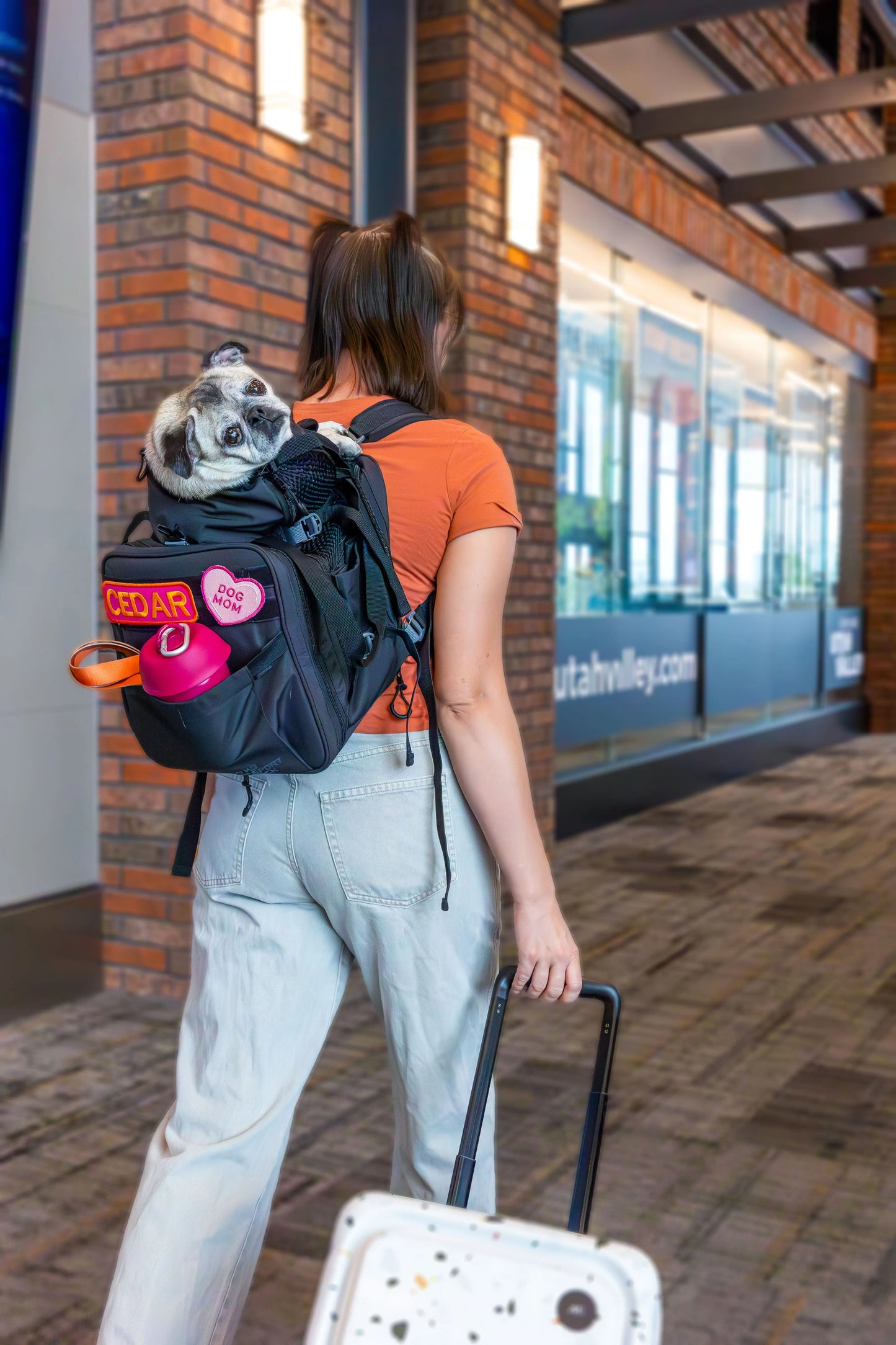 Sky Pack | Convertible Dog Backpack & Pet Carrier K9 Sport Sack