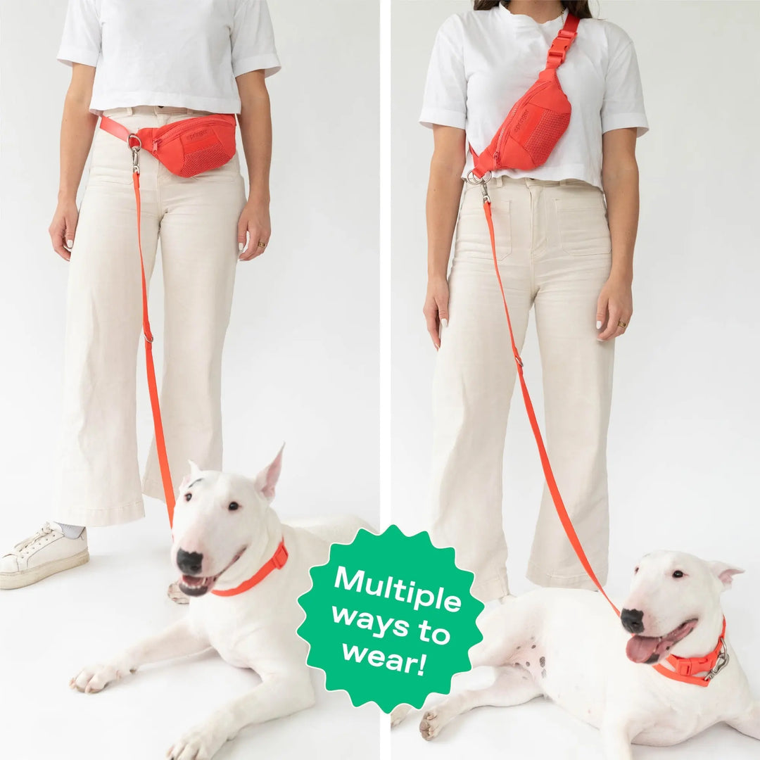 Original Hands-Free Neoprene Dog Walking Bag with 4ft Leash