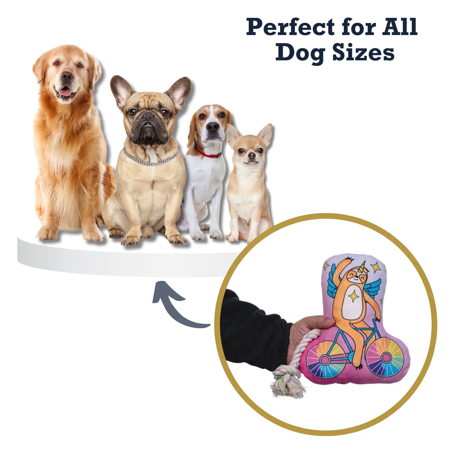 Slow Biker Plush Dog Toy – with Squeaker & Crinkle Paper for Fun Play American Pet Supplies