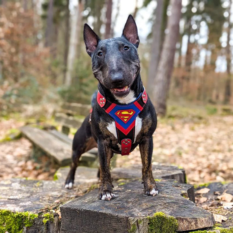 Bestia Superdog Leather Dog Harness – Medium Dogs