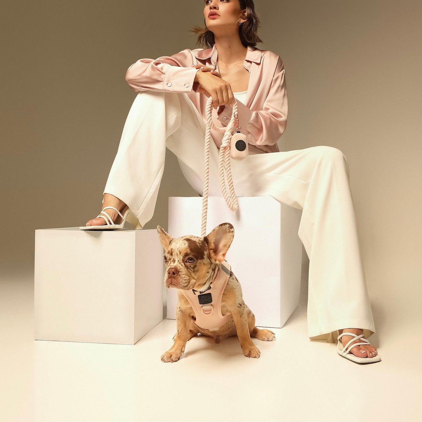 SoHo Dog Harness - Blush Pink Dogistry™