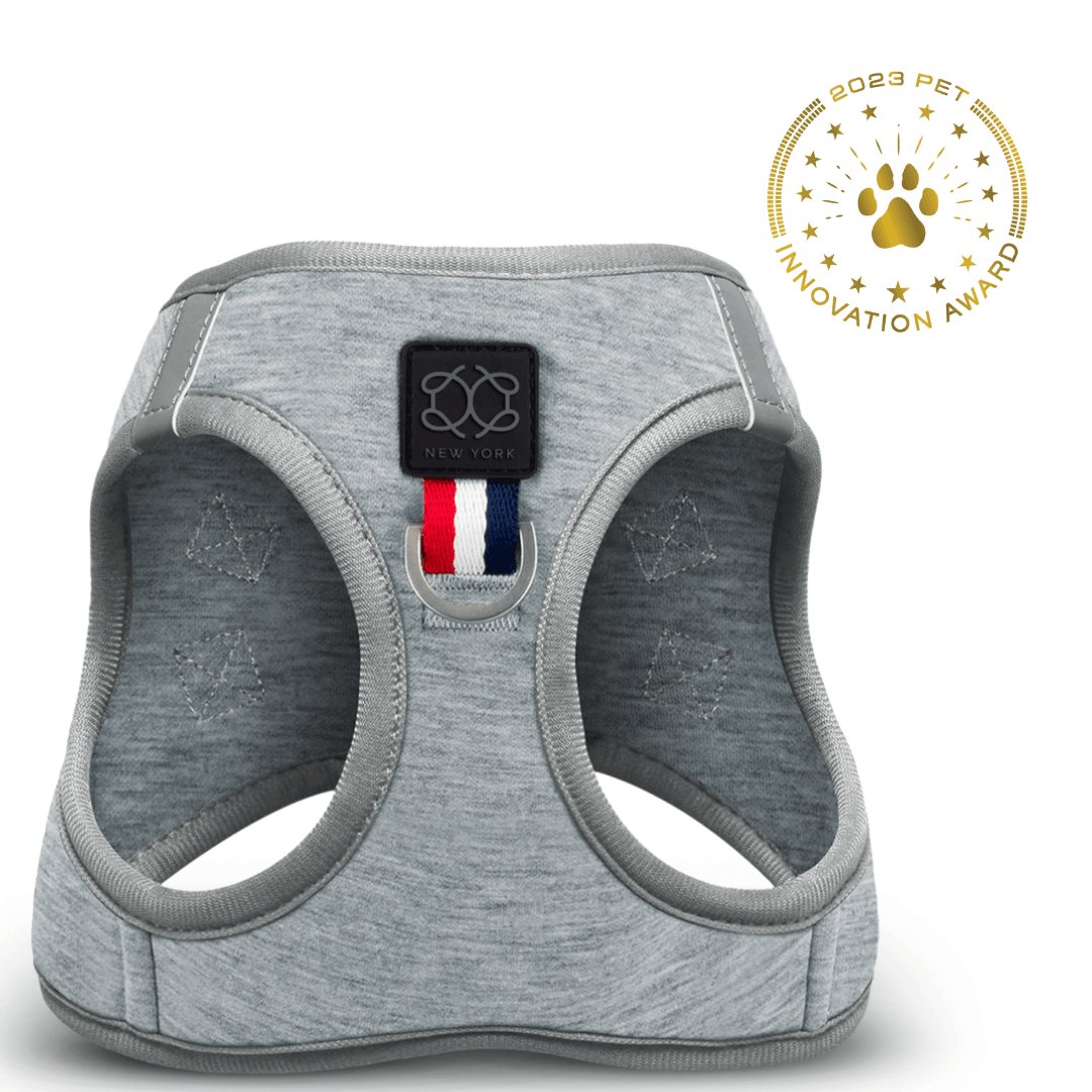 SoHo Dog Harness - Champion Dogistry™