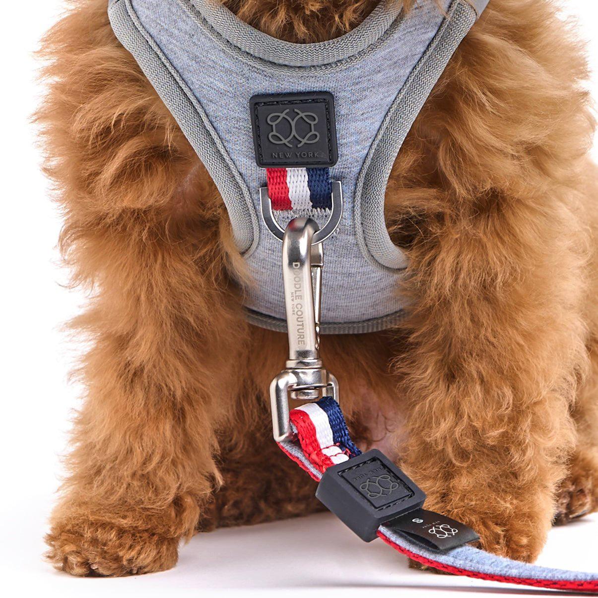 SoHo Dog Harness - Champion Dogistry™