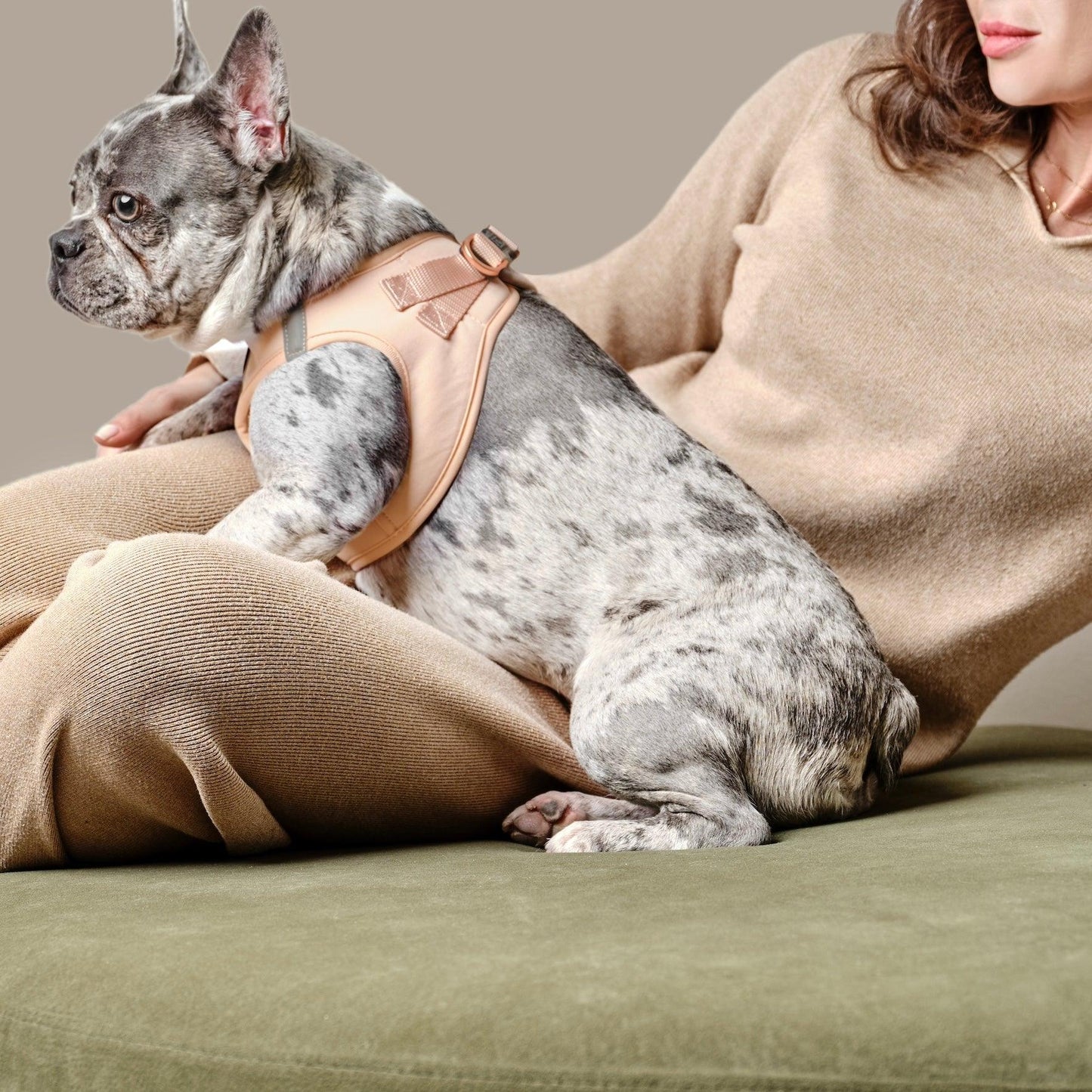 SoHo Dog Harness - Dune Dogistry™