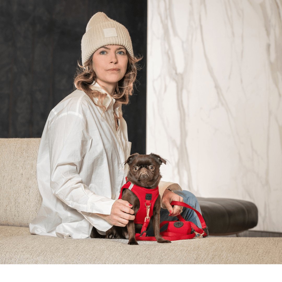 SoHo Dog Harness - Iconic Red Dogistry™