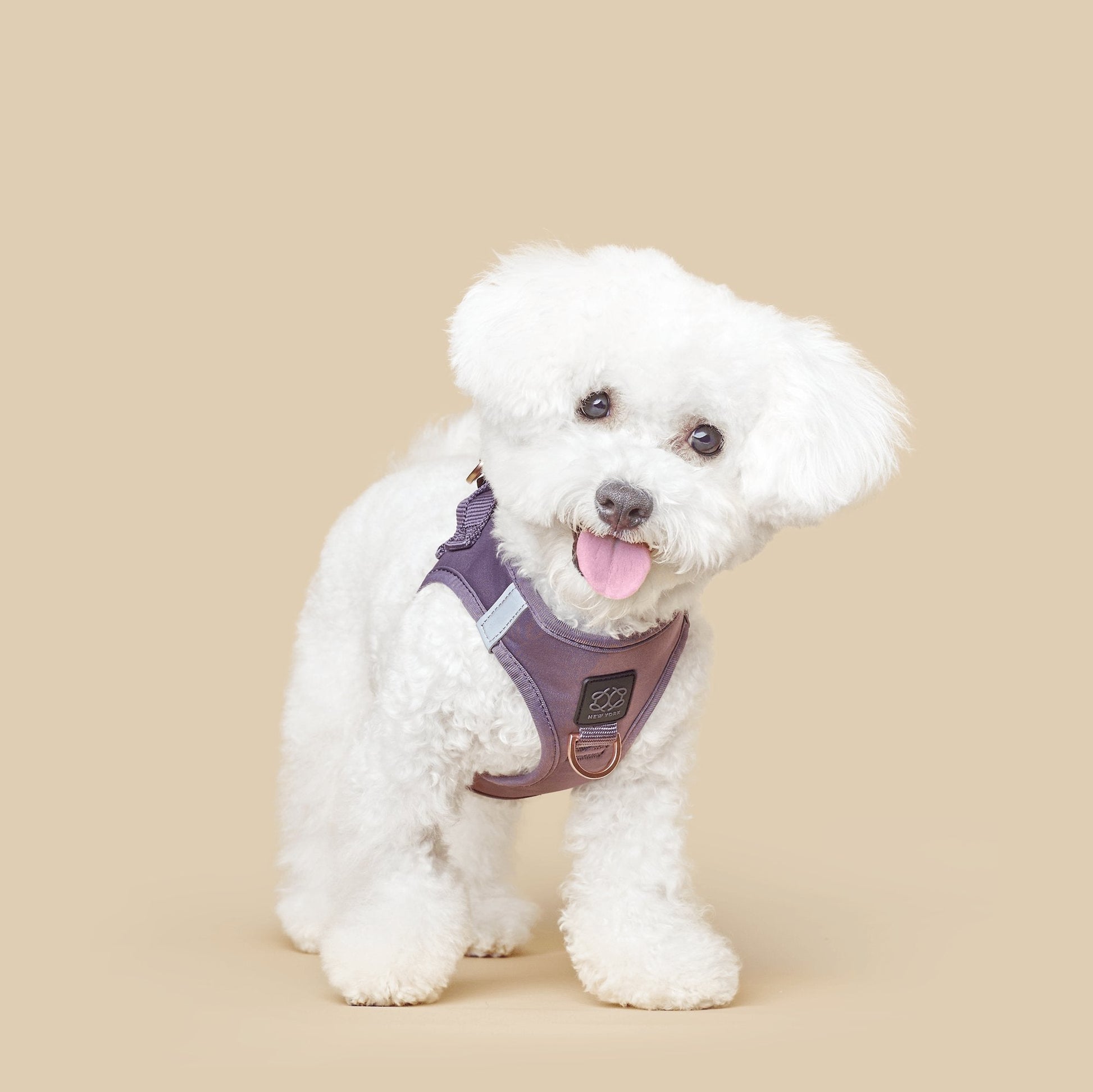 SoHo Dog Harness - Lilac Gray Dogistry™