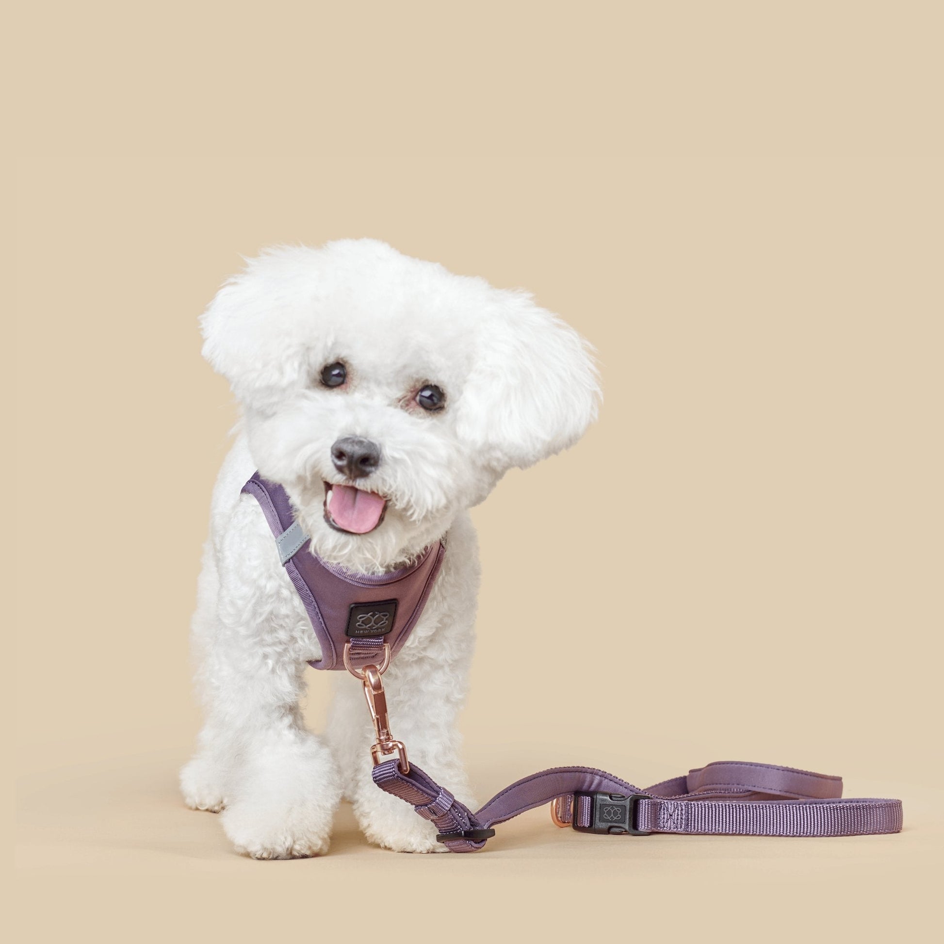 SoHo Dog Harness - Lilac Gray Dogistry™