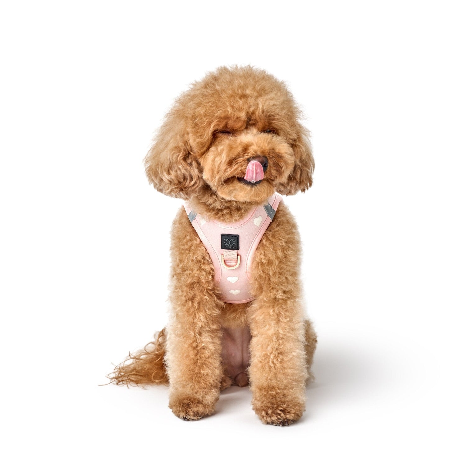 SoHo Dog Harness - Sweetheart Dogistry™