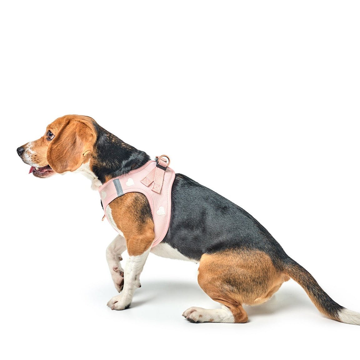 SoHo Dog Harness - Sweetheart Dogistry™