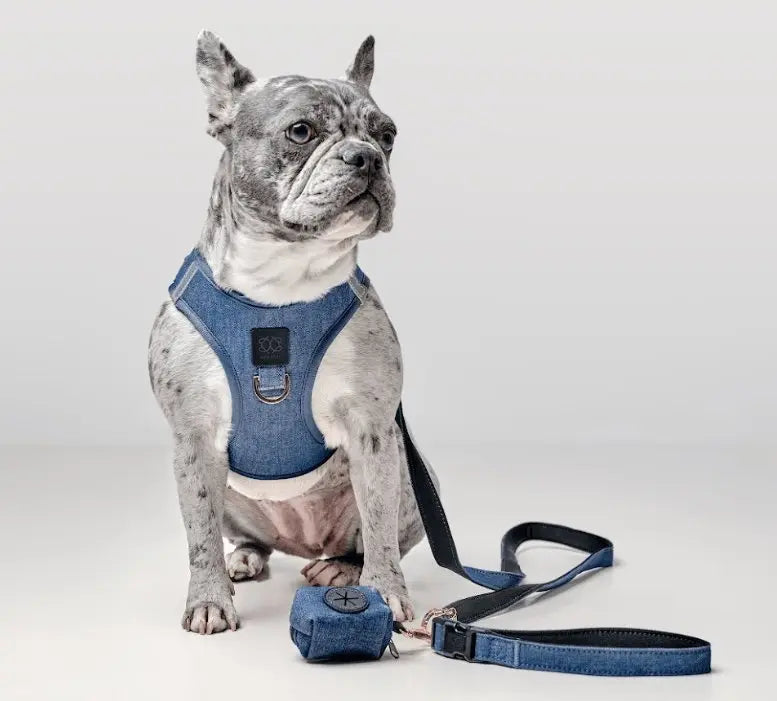 SoHo Dog Harness - Denim - K9 Outdoors