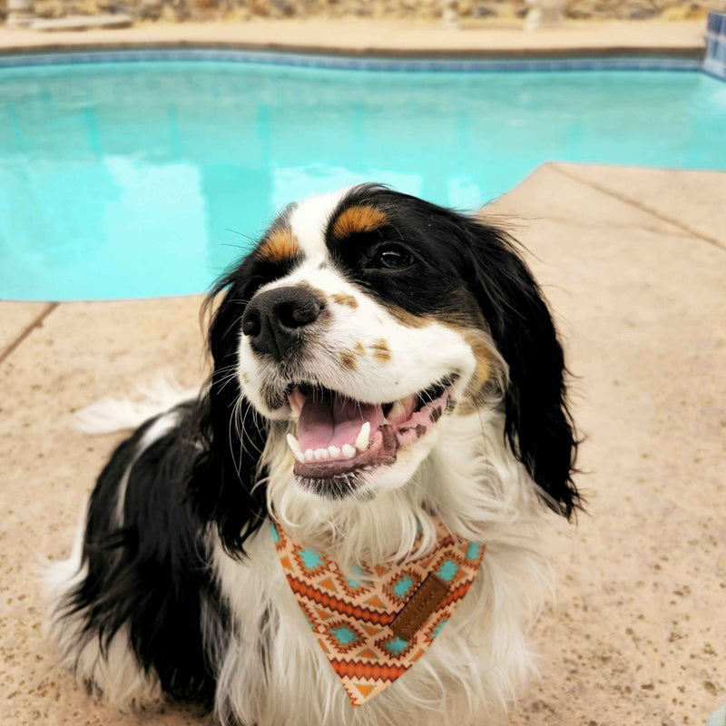 Southwest Spirit Cooling Bandana