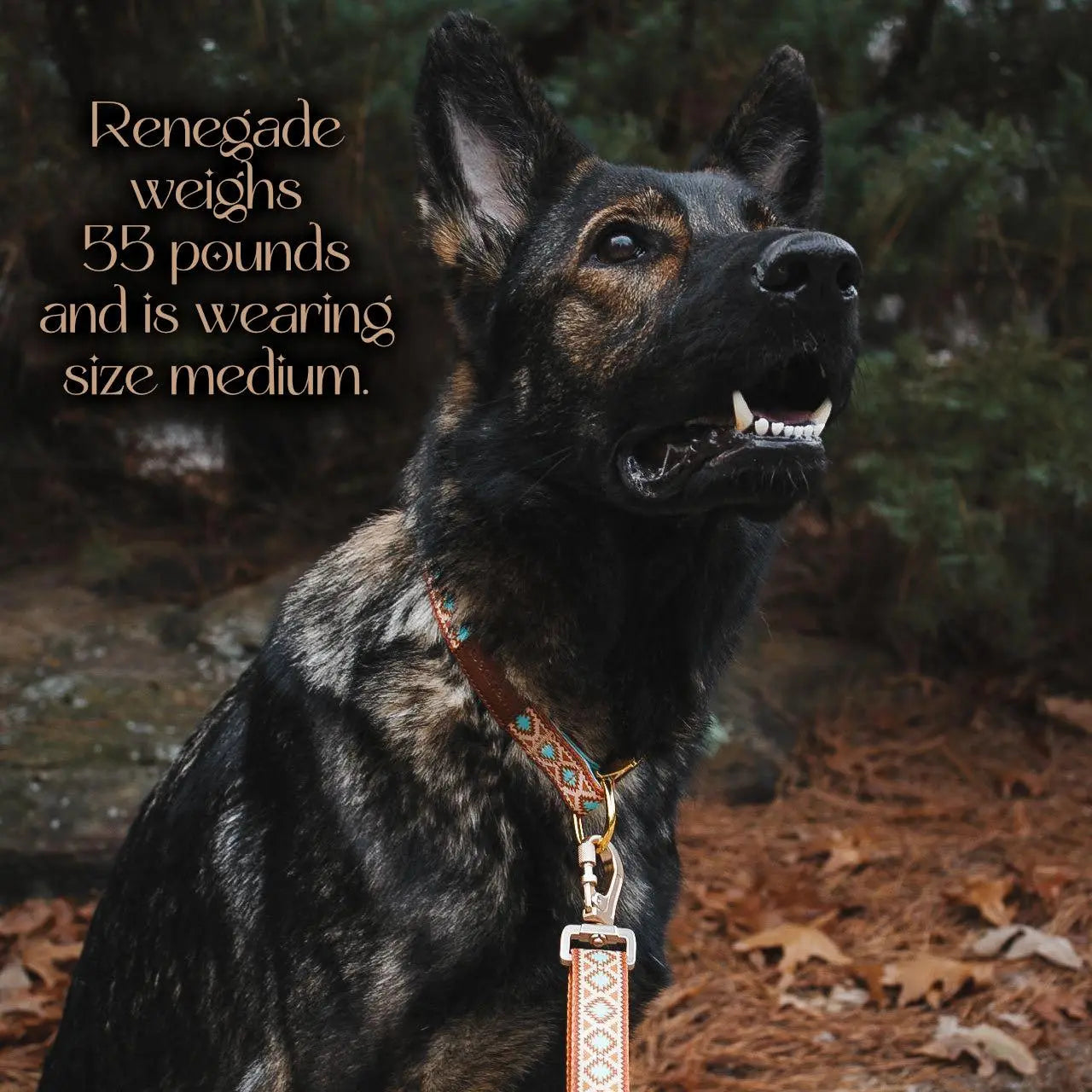 Southwest Spirit Collar WOLFDOGE