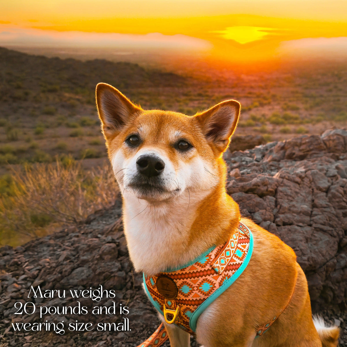 Southwest Spirit Harness