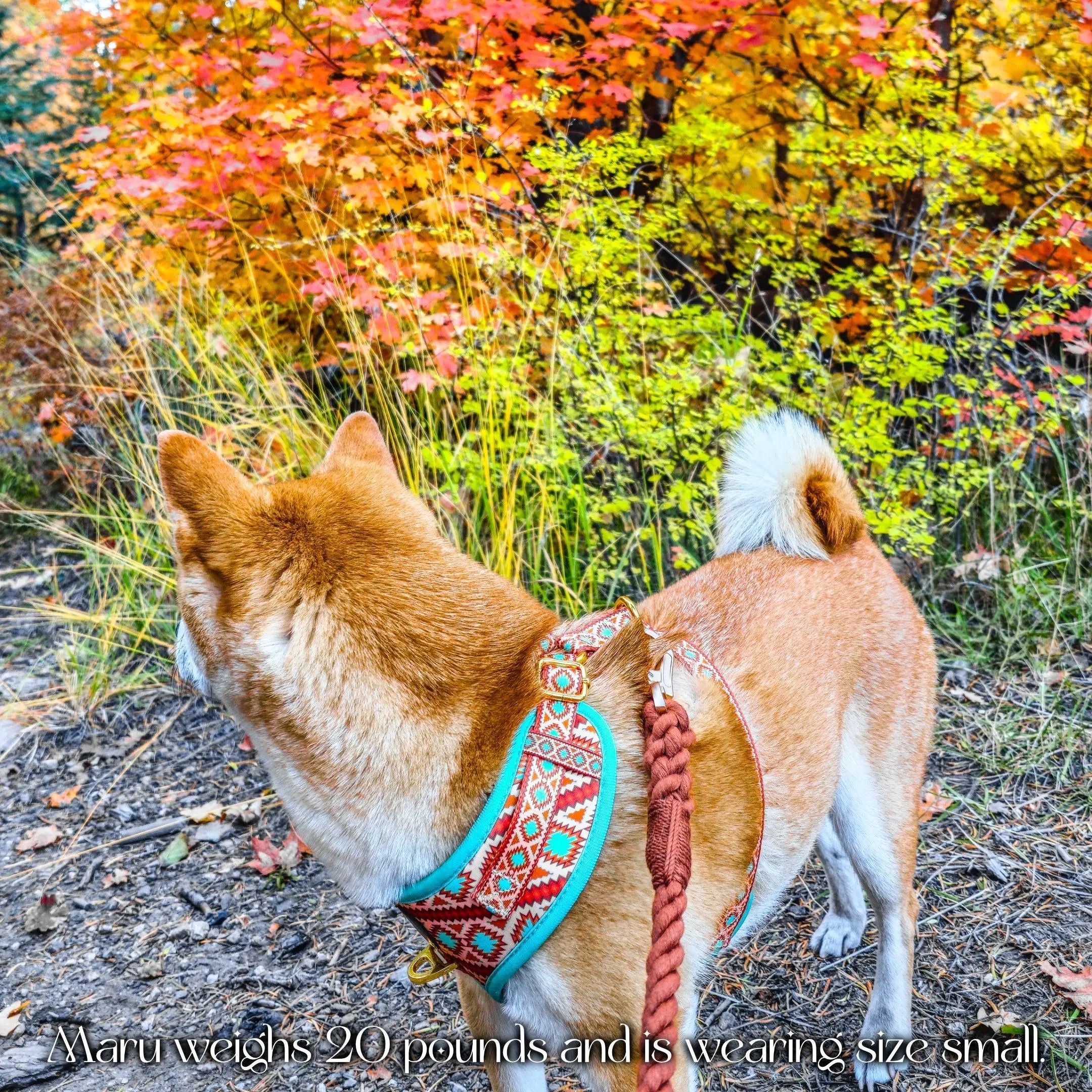 Southwest Spirit Harness WOLFDOGE