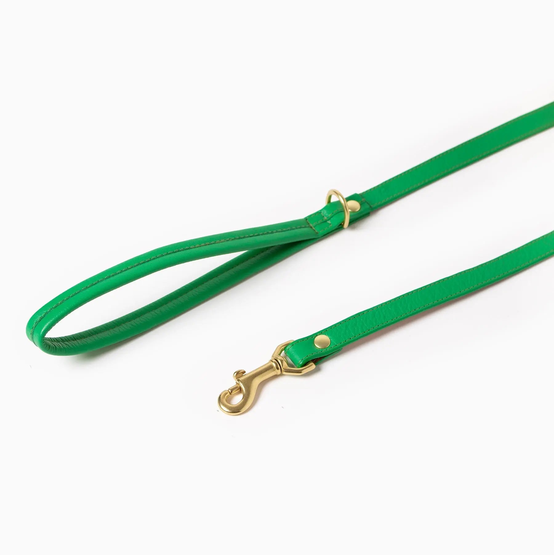 Spring Leash Ramona For You