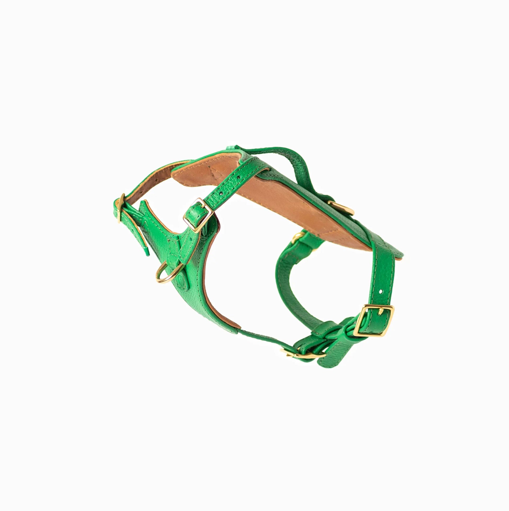 Spring Heritage Harness Ramona For You