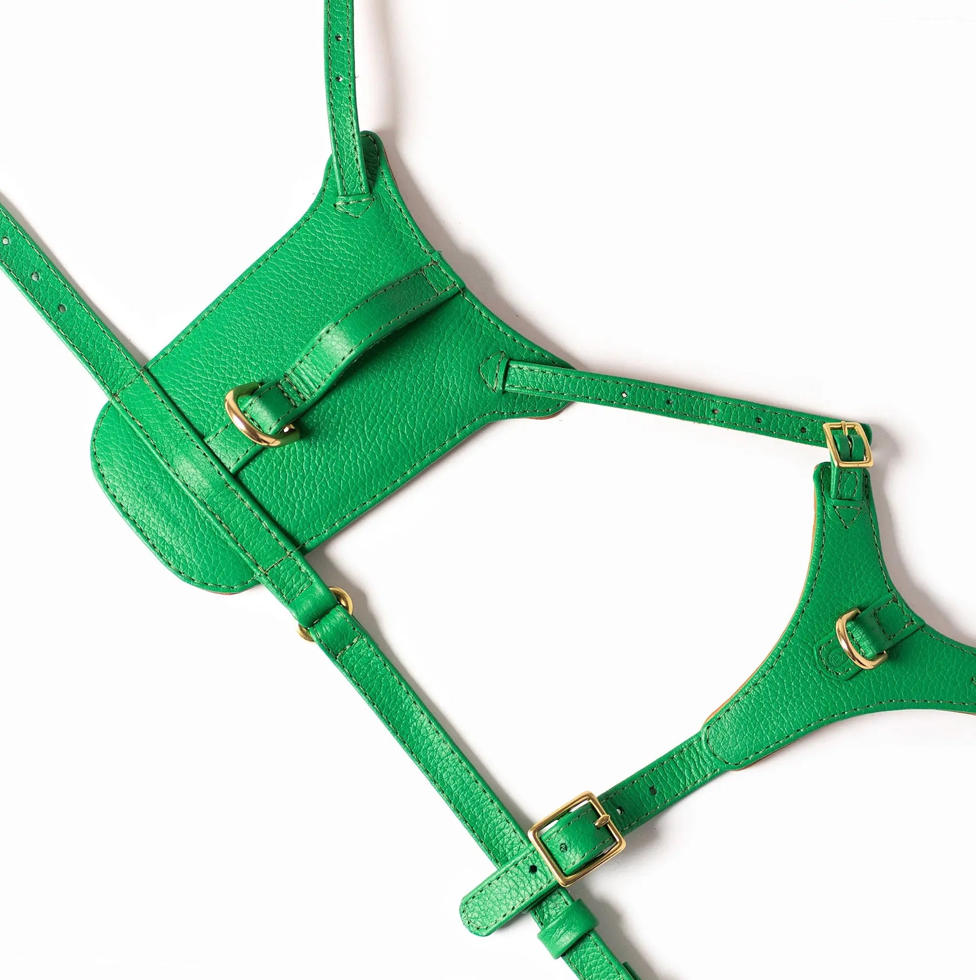 Spring Heritage Harness Ramona For You