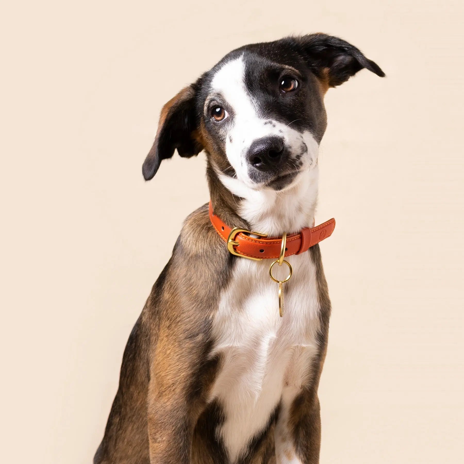 Sunset Collar Ramona For You