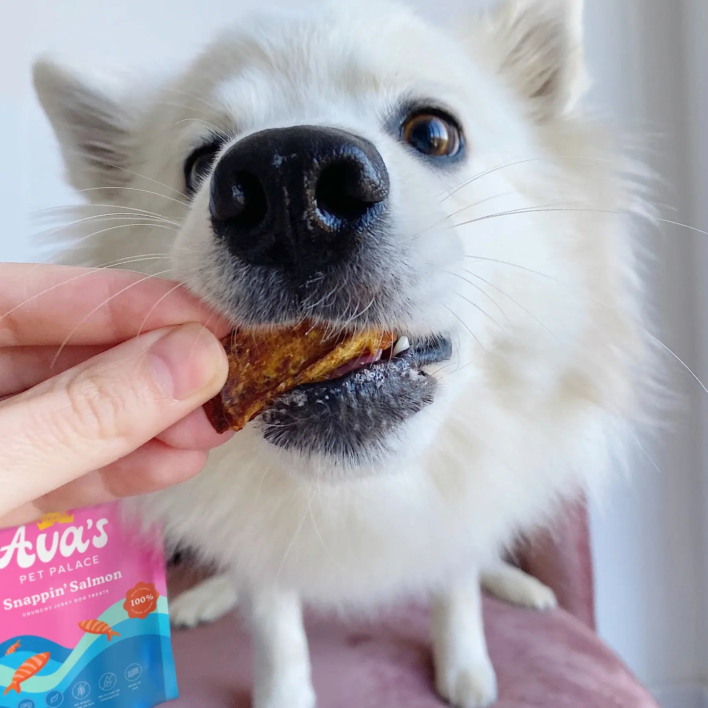 Ava's Pet Palace Crunchy Jerky Dog Treats - Snappin' Salmon Treats (4 oz) American Pet Supplies