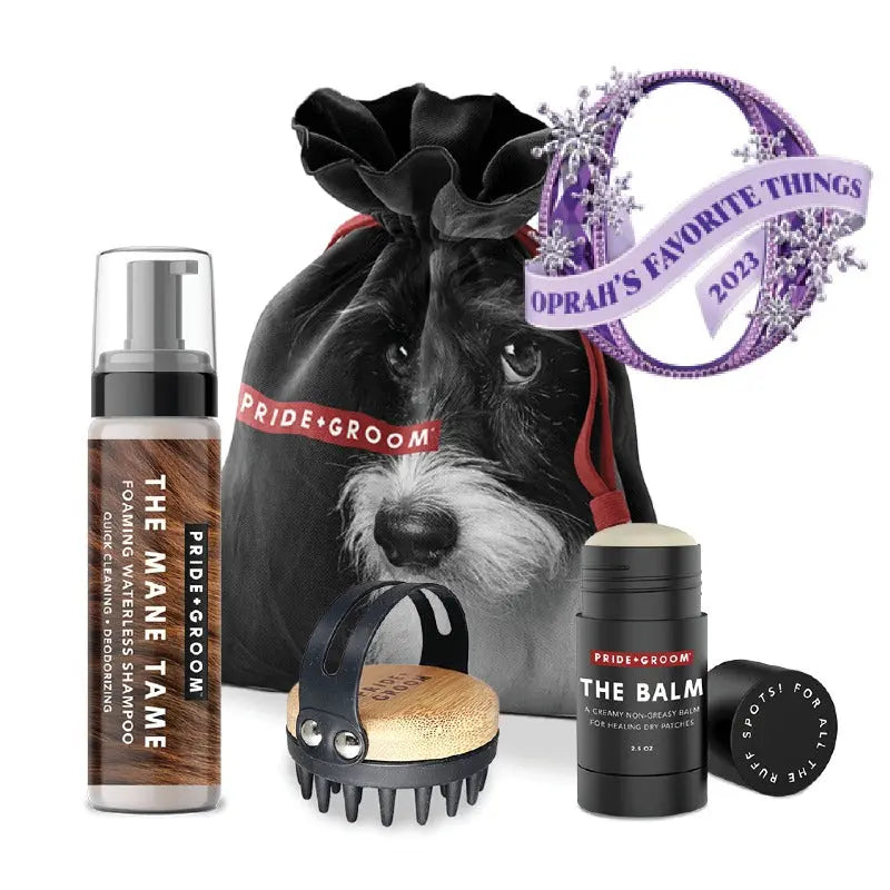 THE TOOL KIT | Complete waterless dog grooming set. Includes foaming shampoo, moisturizing balm & grooming brush. - K9 Outdoors