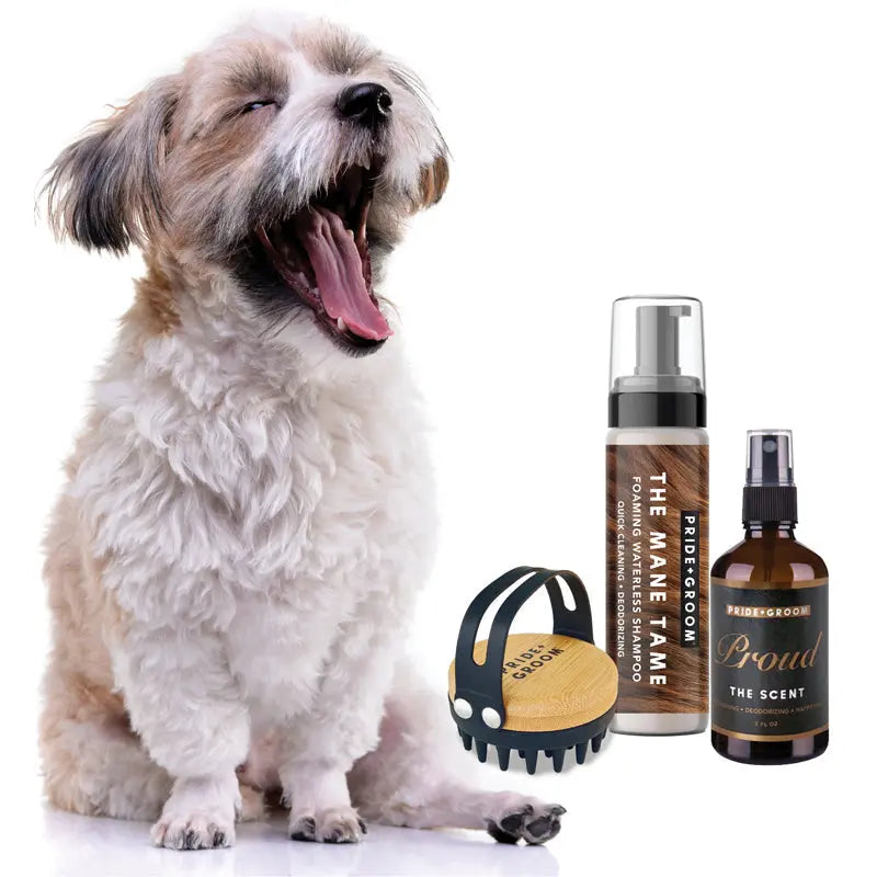 THE TOOL KIT | Complete waterless dog grooming set. Includes foaming shampoo, moisturizing balm & grooming brush. - K9 Outdoors