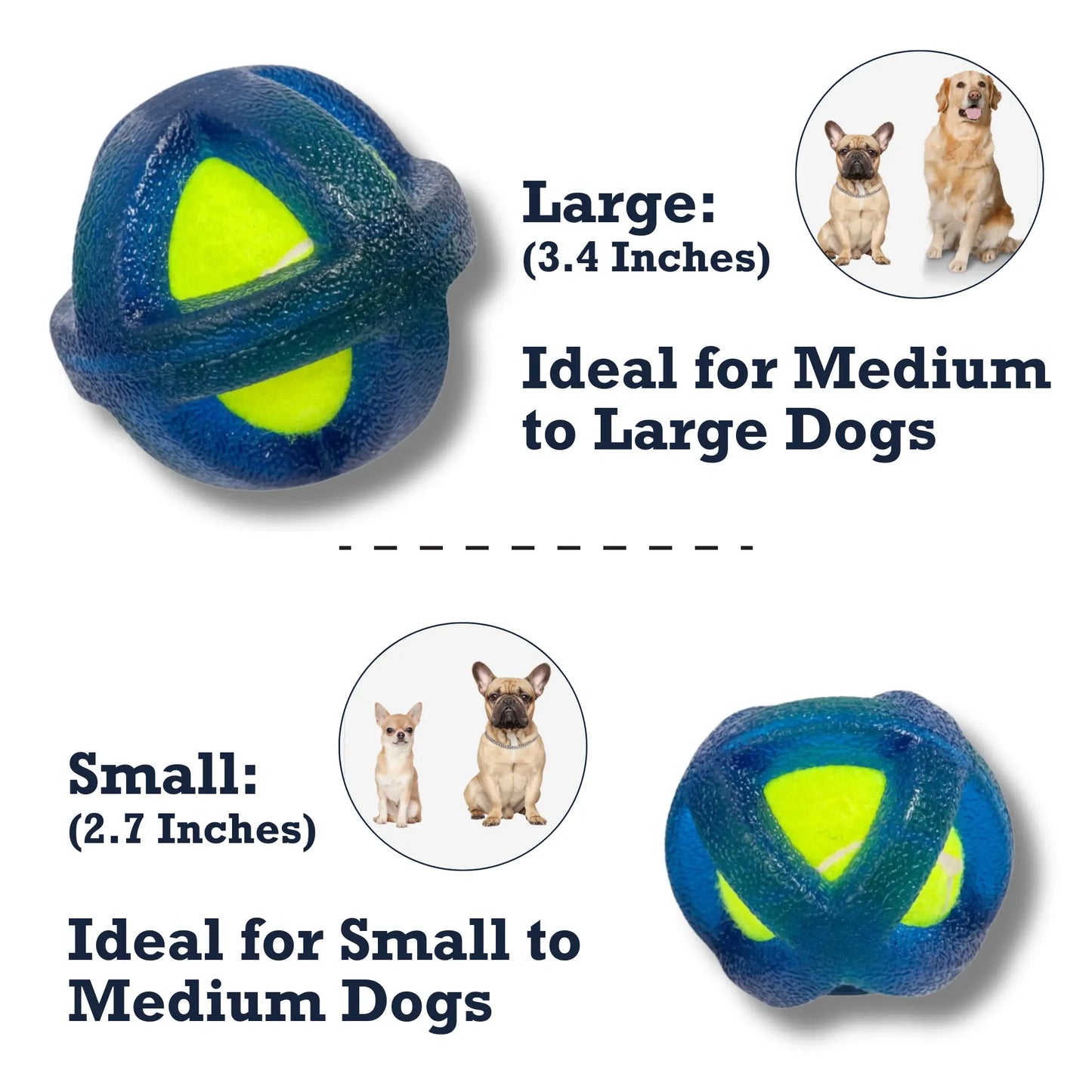 Country Living TPR-Coated Agility Tennis Ball Dog Toy – Durable & Pet-Safe American Pet Supplies