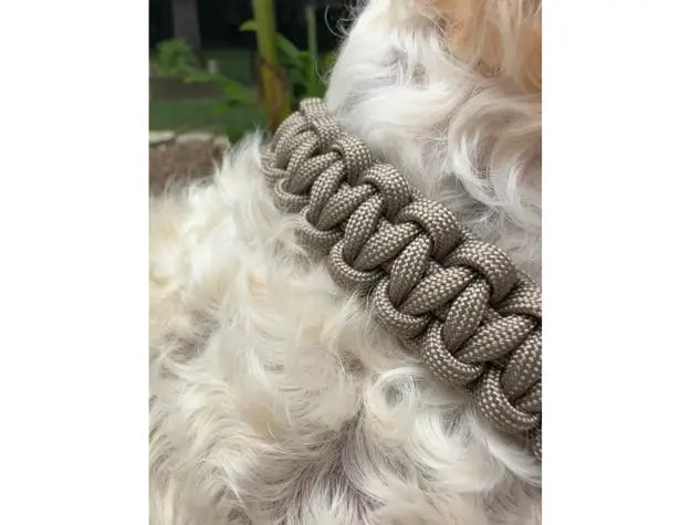 Cobra Braid in Tan - Handmade Dog Collar Pawsh Pup Co.