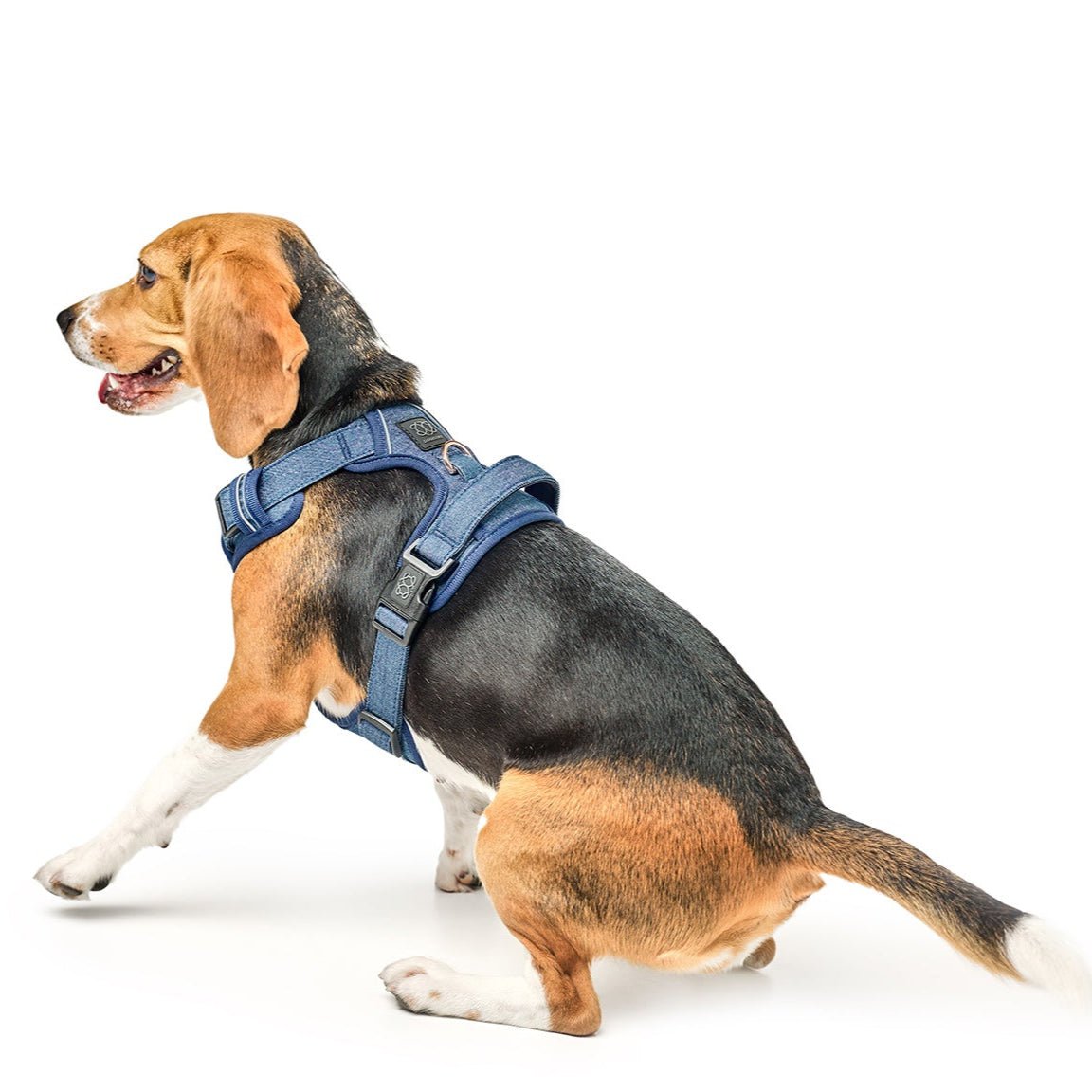 The NoMad Adjustable Luxe Harness - Denim Dogistry™