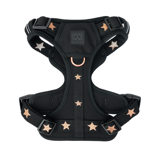 The NoMad Adjustable Luxe Harness - Rockstar Dogistry™