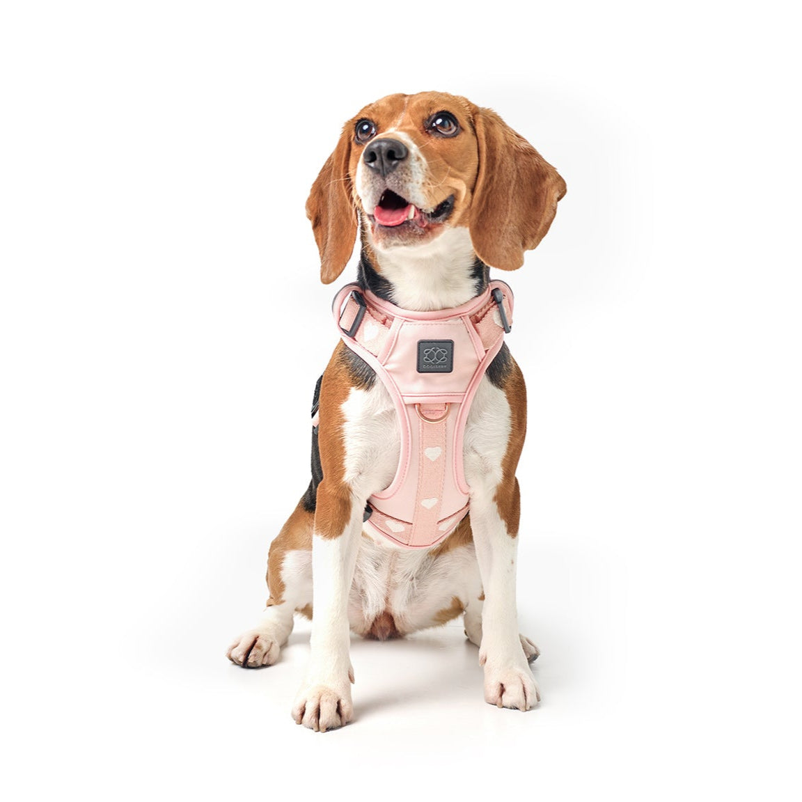 The NoMad Adjustable Luxe Harness - Sweetheart Dogistry™