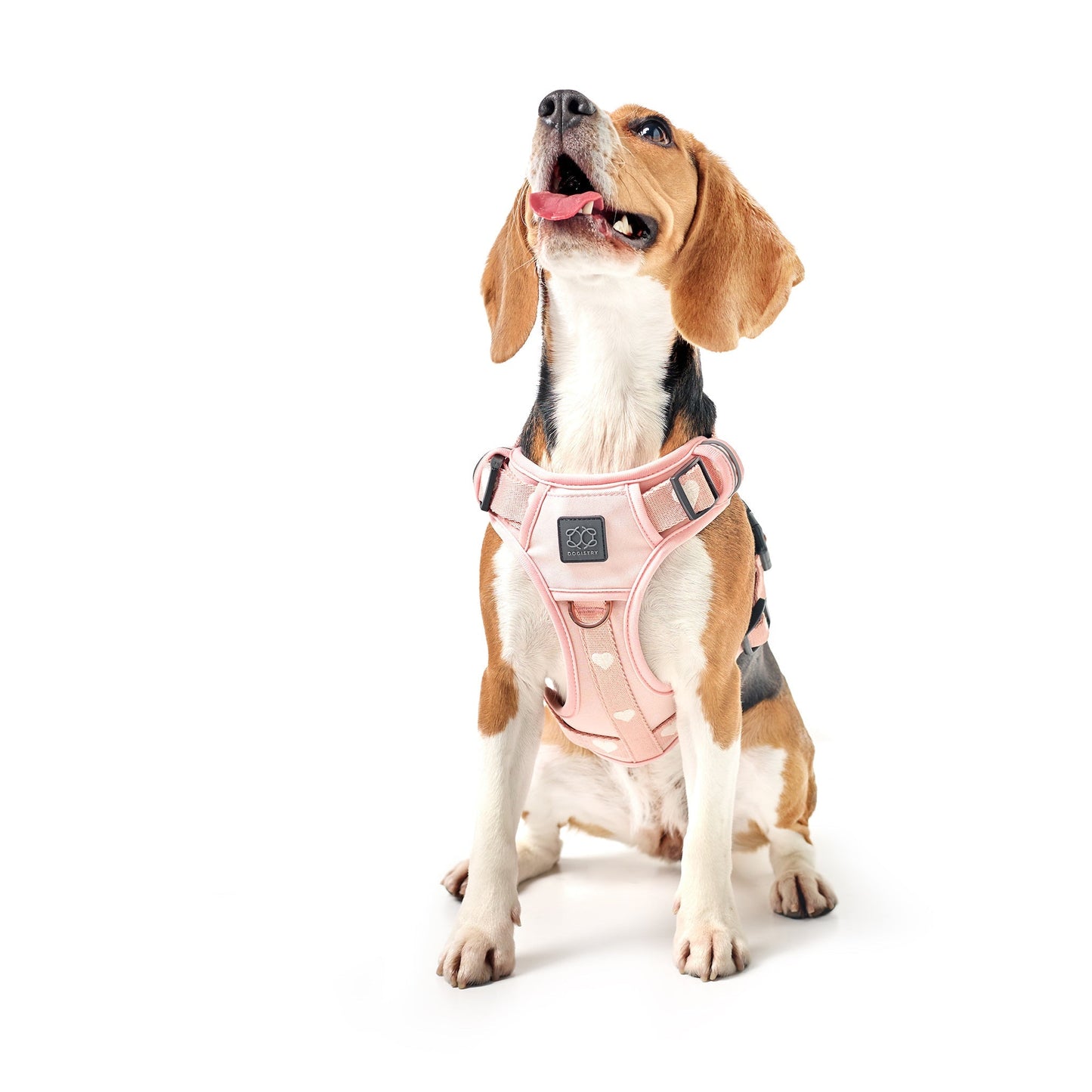 The NoMad Adjustable Luxe Harness - Sweetheart Dogistry™