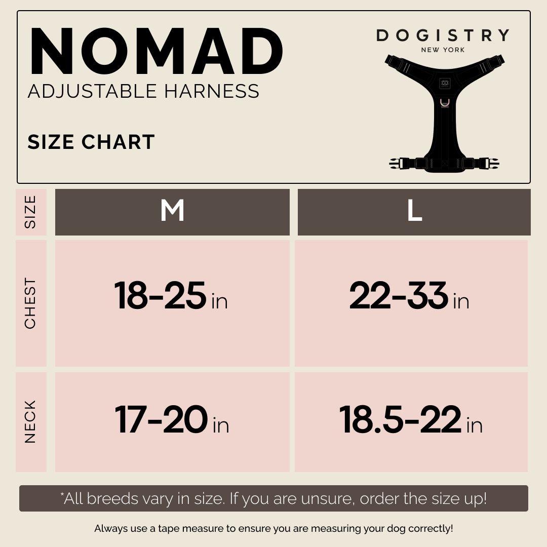 The NoMad Adjustable Luxe Harness - Sweetheart Dogistry™