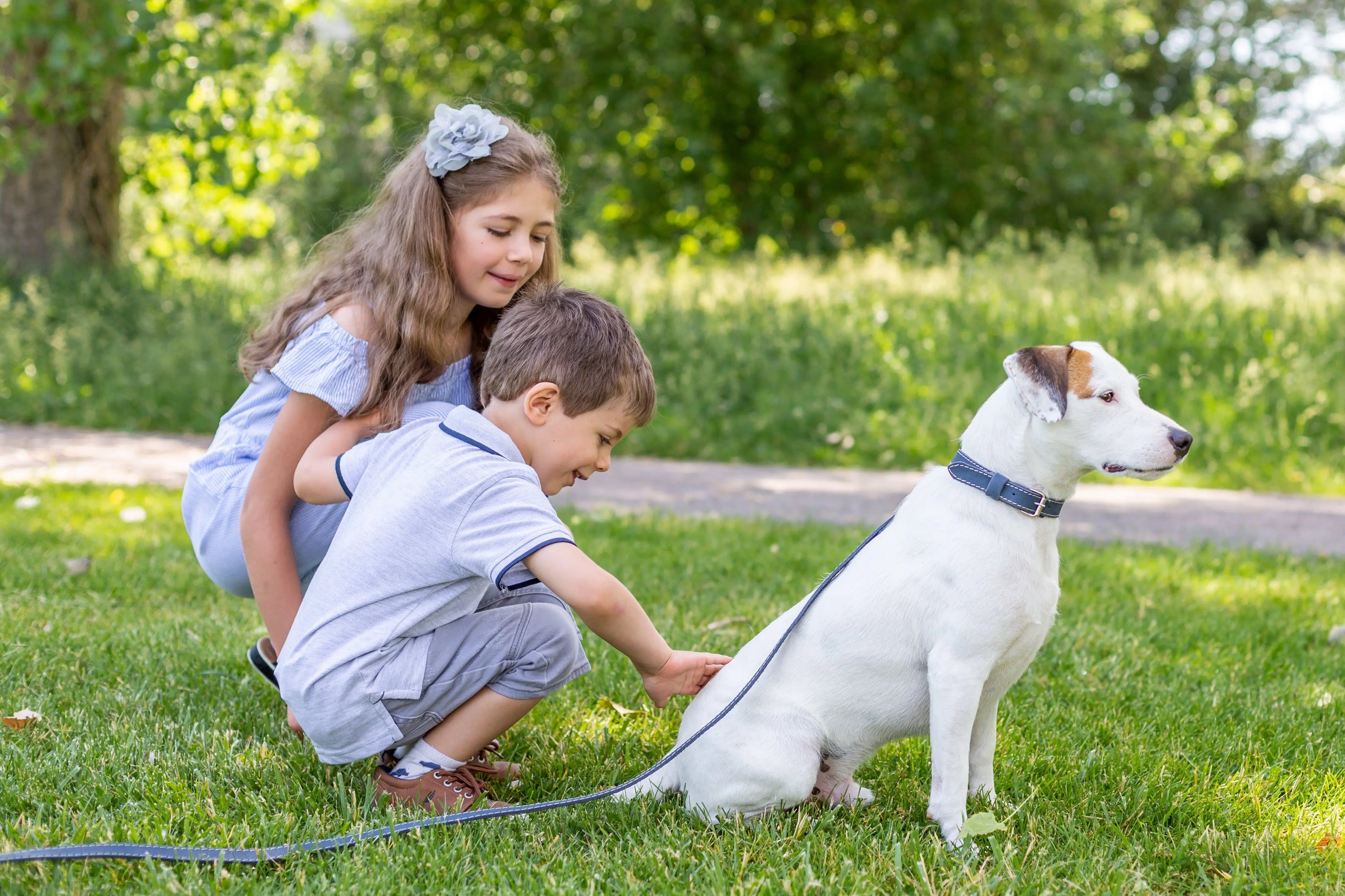 Traditional Style Leather Collar and Leash Set Euro-Dog Collars and Leads