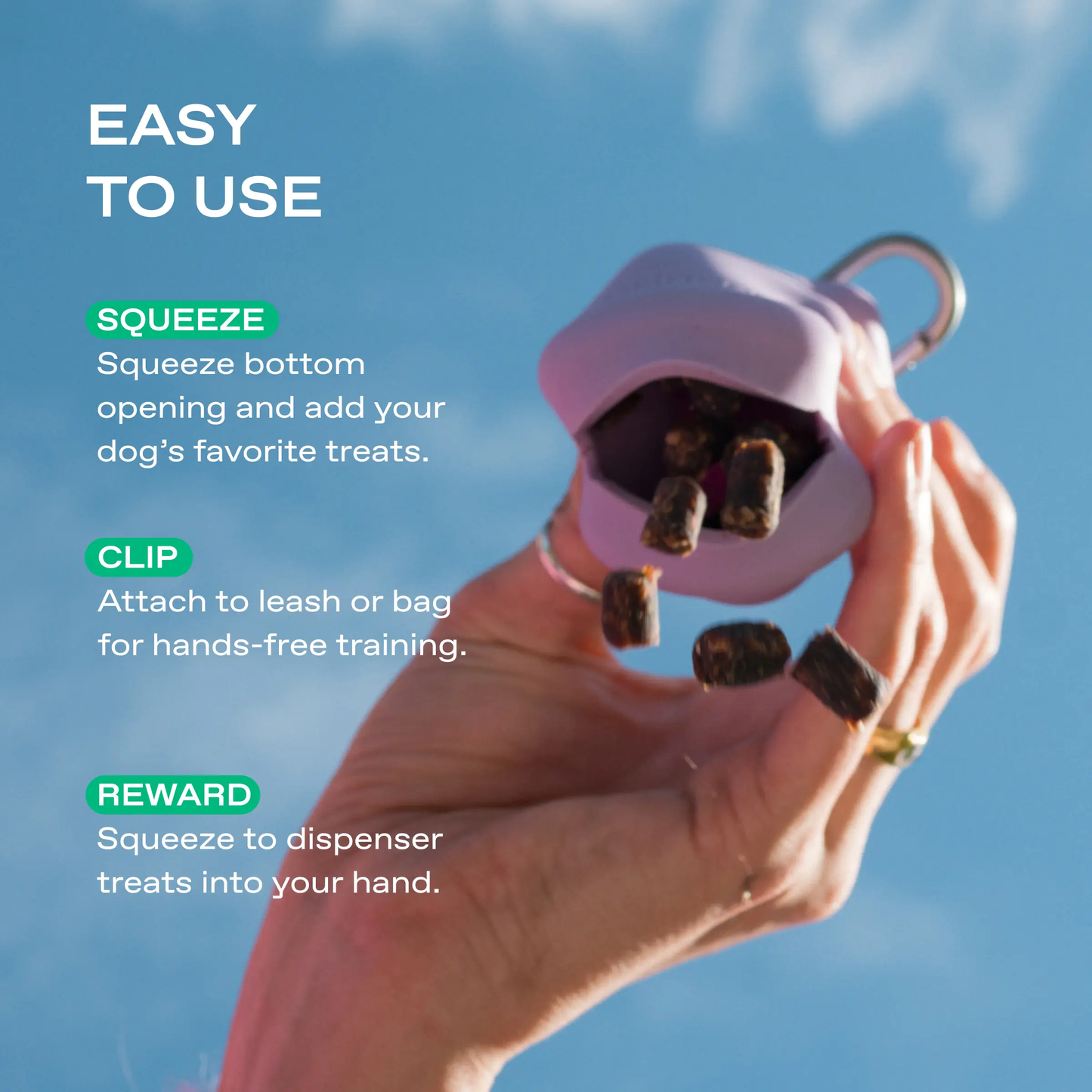 Silicone Dog Treat Dispenser Springland Pets