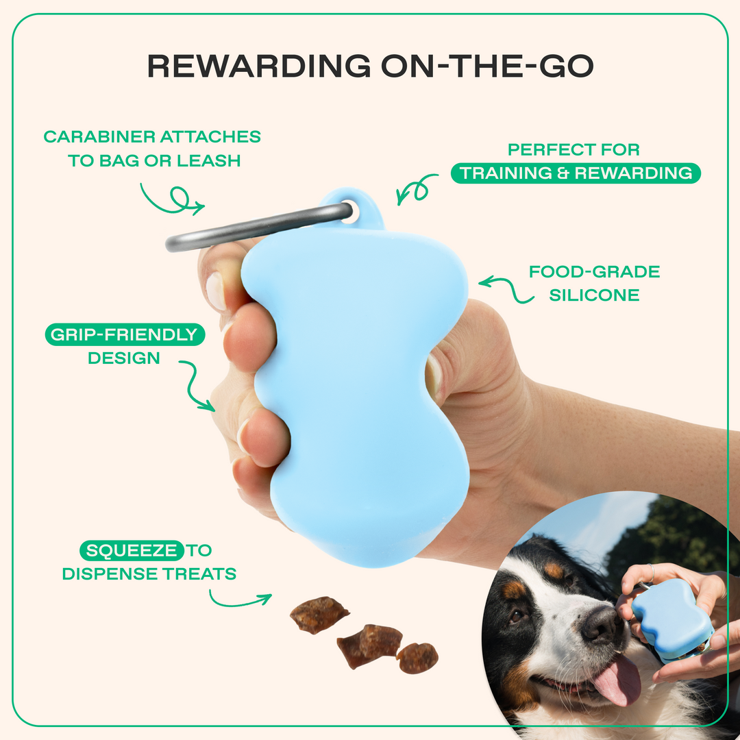 Dog Essentials Gift Box Set