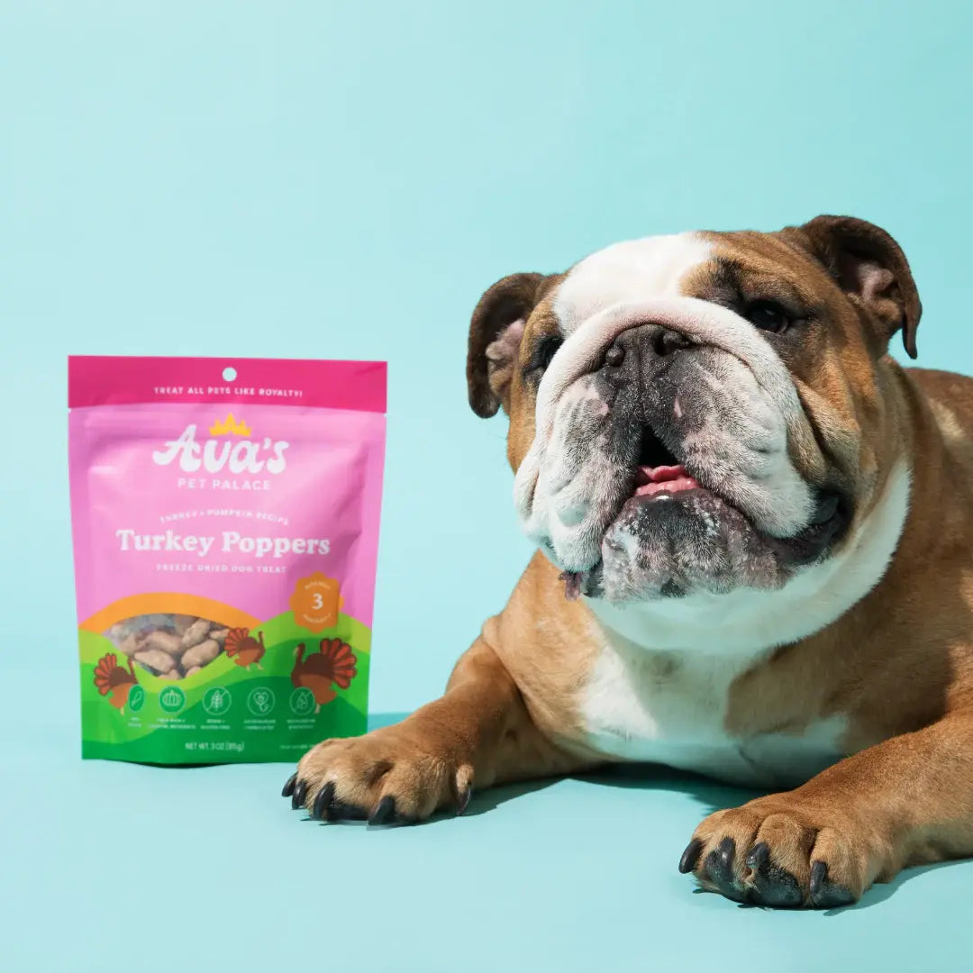 Ava's Pet Palace Freeze Dried Dog Treats - Turkey Poppers (3oz) American Pet Supplies