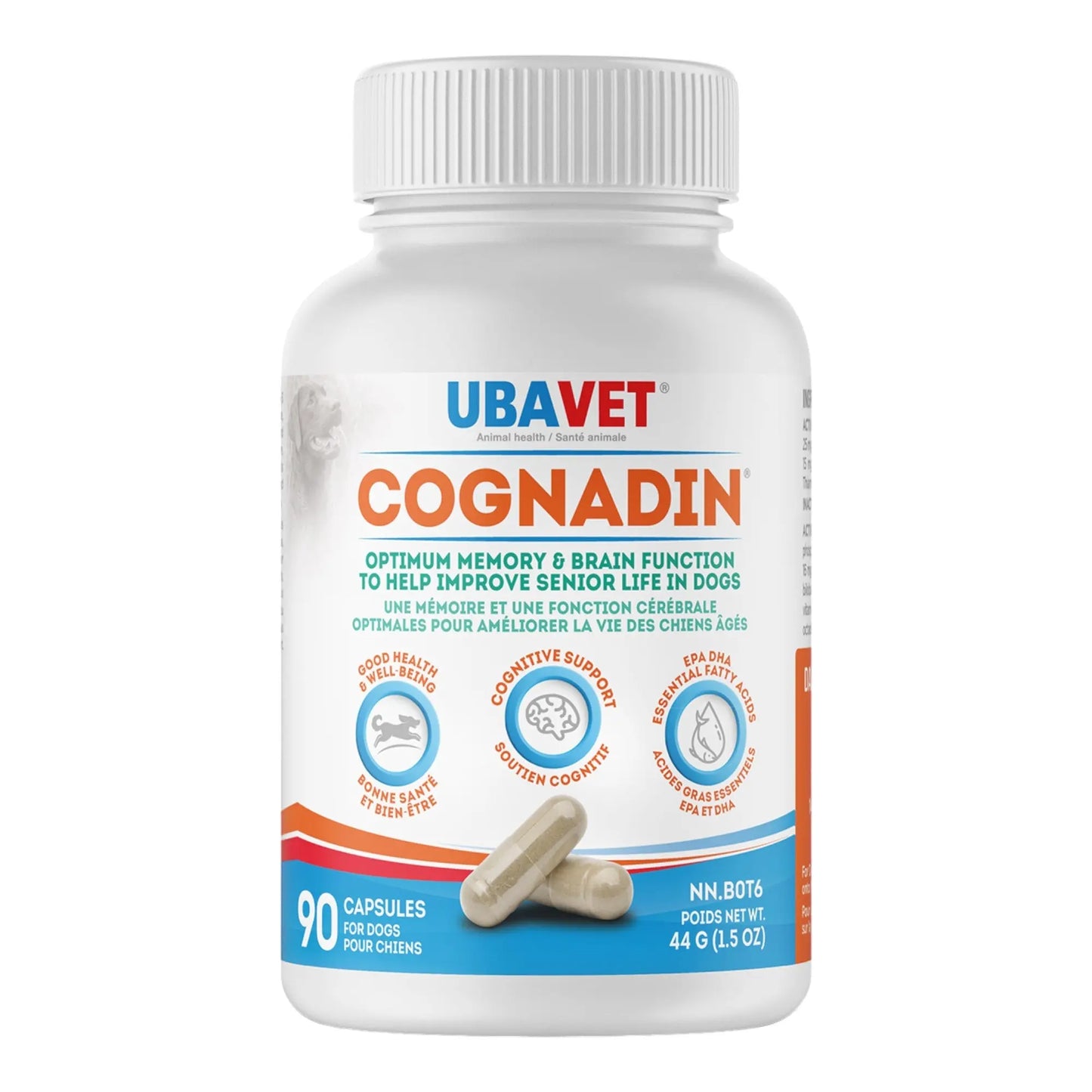 UBAVET Cognadin Memory & Brain Support for Senior Dogs – (90 ct) American Pet Supplies