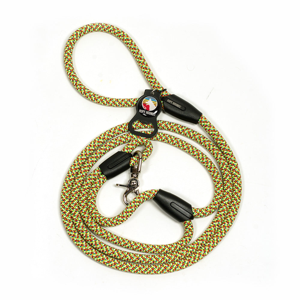 Urban Handle Dog Leash - Multicolored